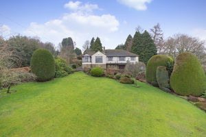 Photo 31- click for photo gallery